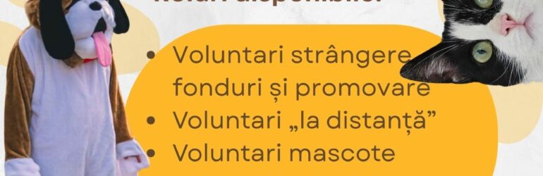 Asociația No Limit Pets