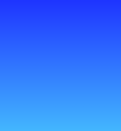 VOLUNTAR – MASCOTĂ RINGO ȘI KITTY